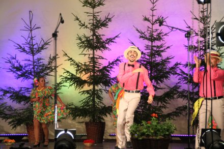 Występy konkursowe MSF